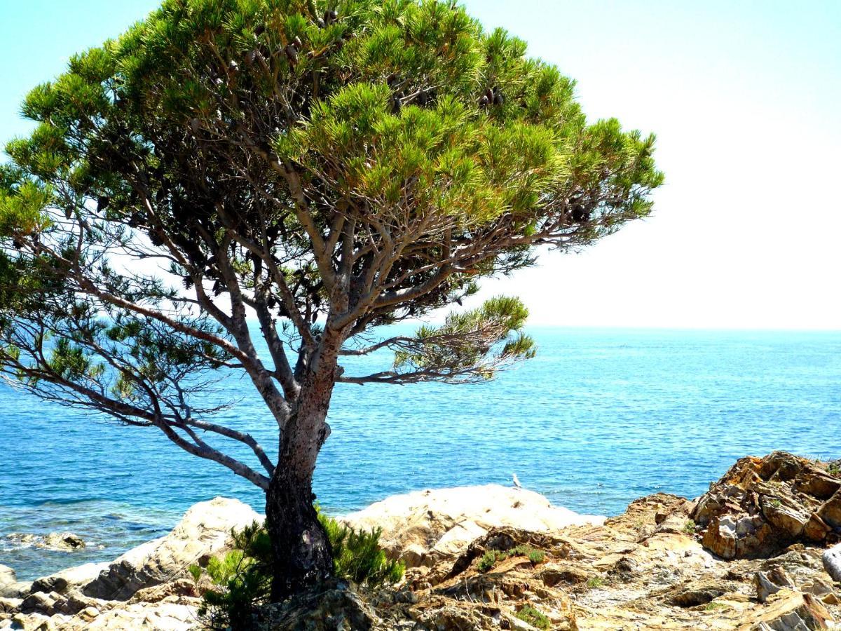 Caseta De Pescadors A Les Cales De Colera, 2ª Linea De Mar Zewnętrze zdjęcie